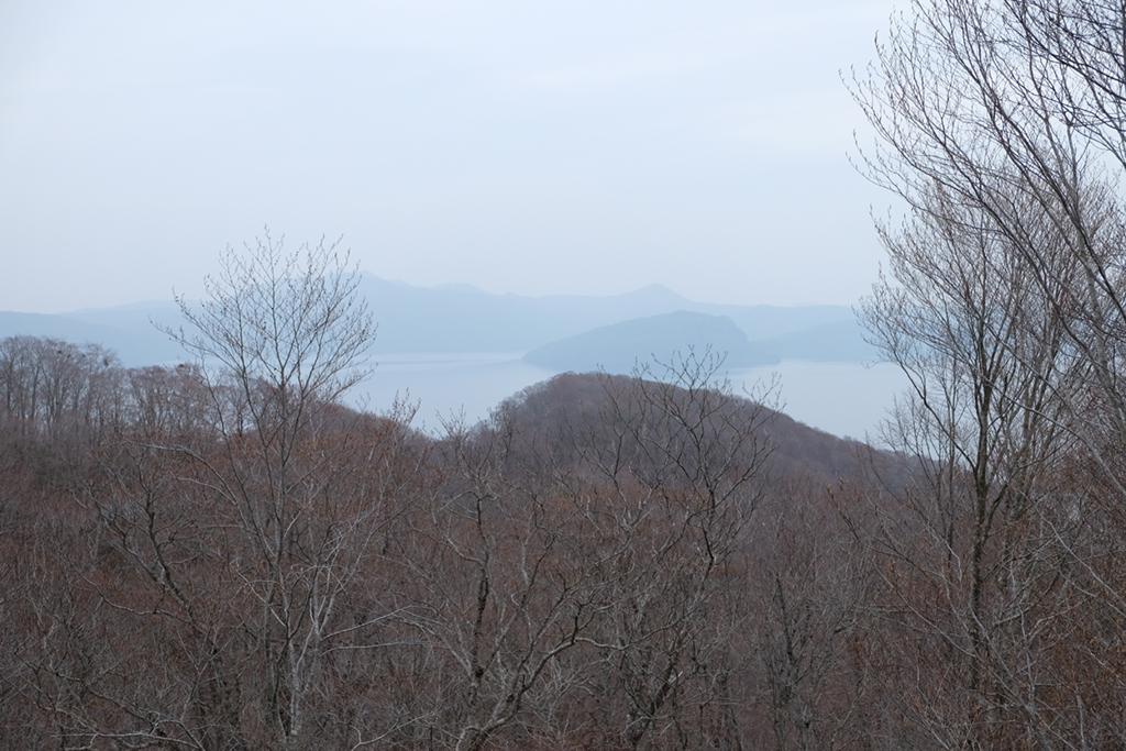 森の中にいる
自動的に生成された説明