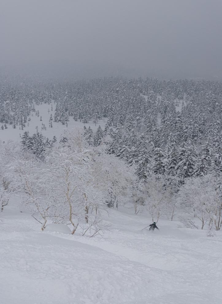 雪の積もった山の中を歩いている人

自動的に生成された説明