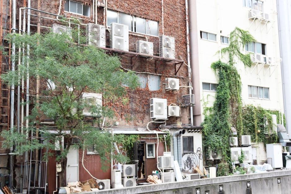 「はみだすものたちに魅せられて。〜路上園芸を愛で続けていたら見えてきた街の素顔〜」TOP