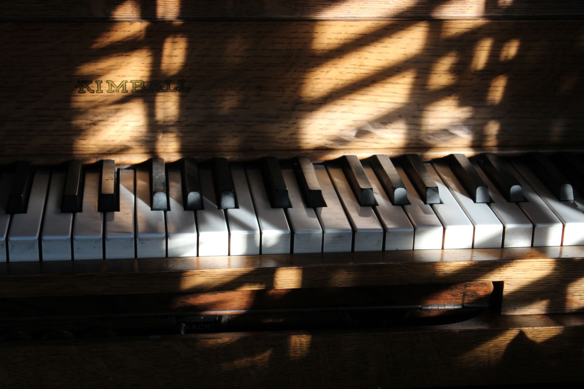 合唱曲一覧|体育館に響き続ける定番曲8選、その生まれた理由
