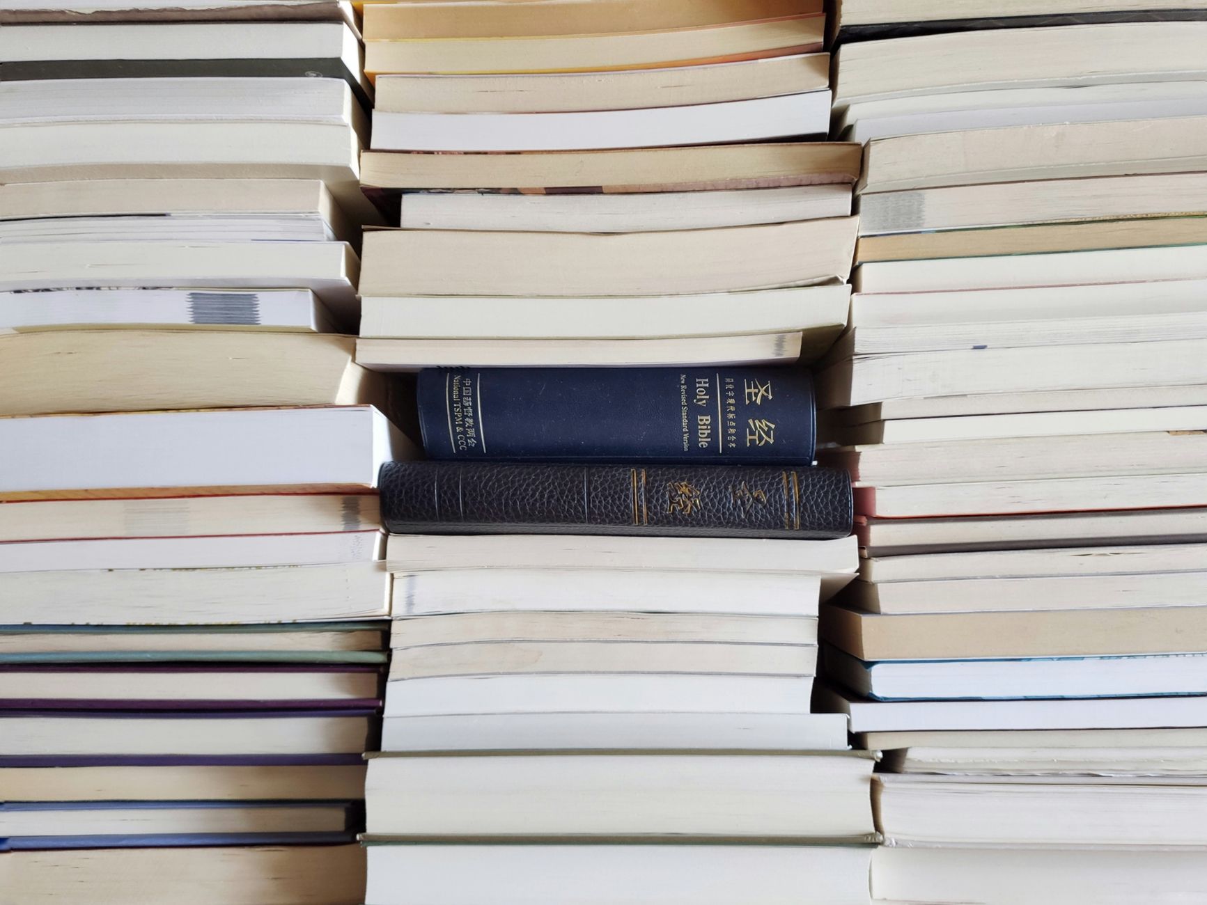 テキストヒップが読書をかっこよく変えた理由