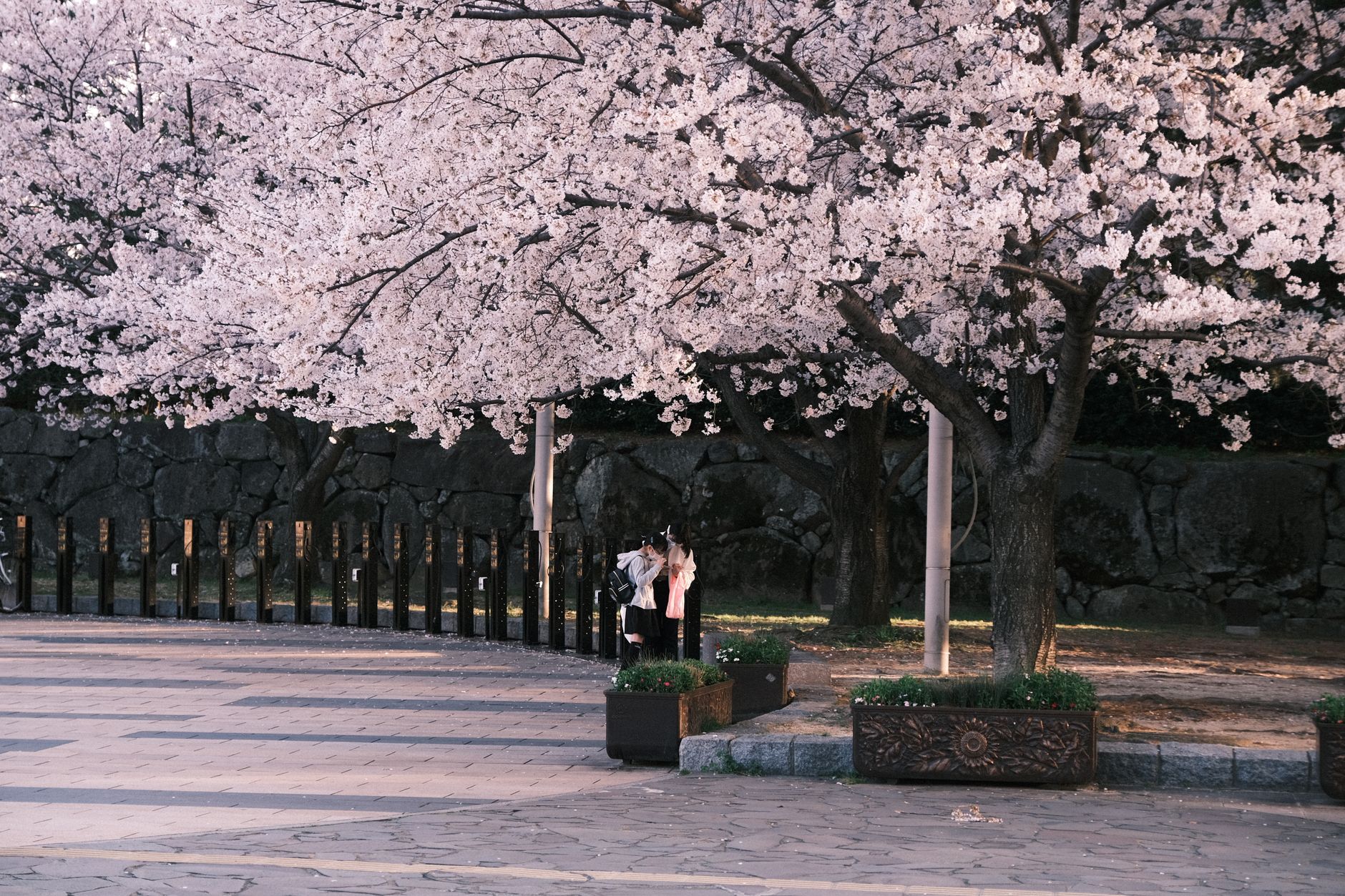 新入社員が4月に入社するのが当たり前になったのはなぜか