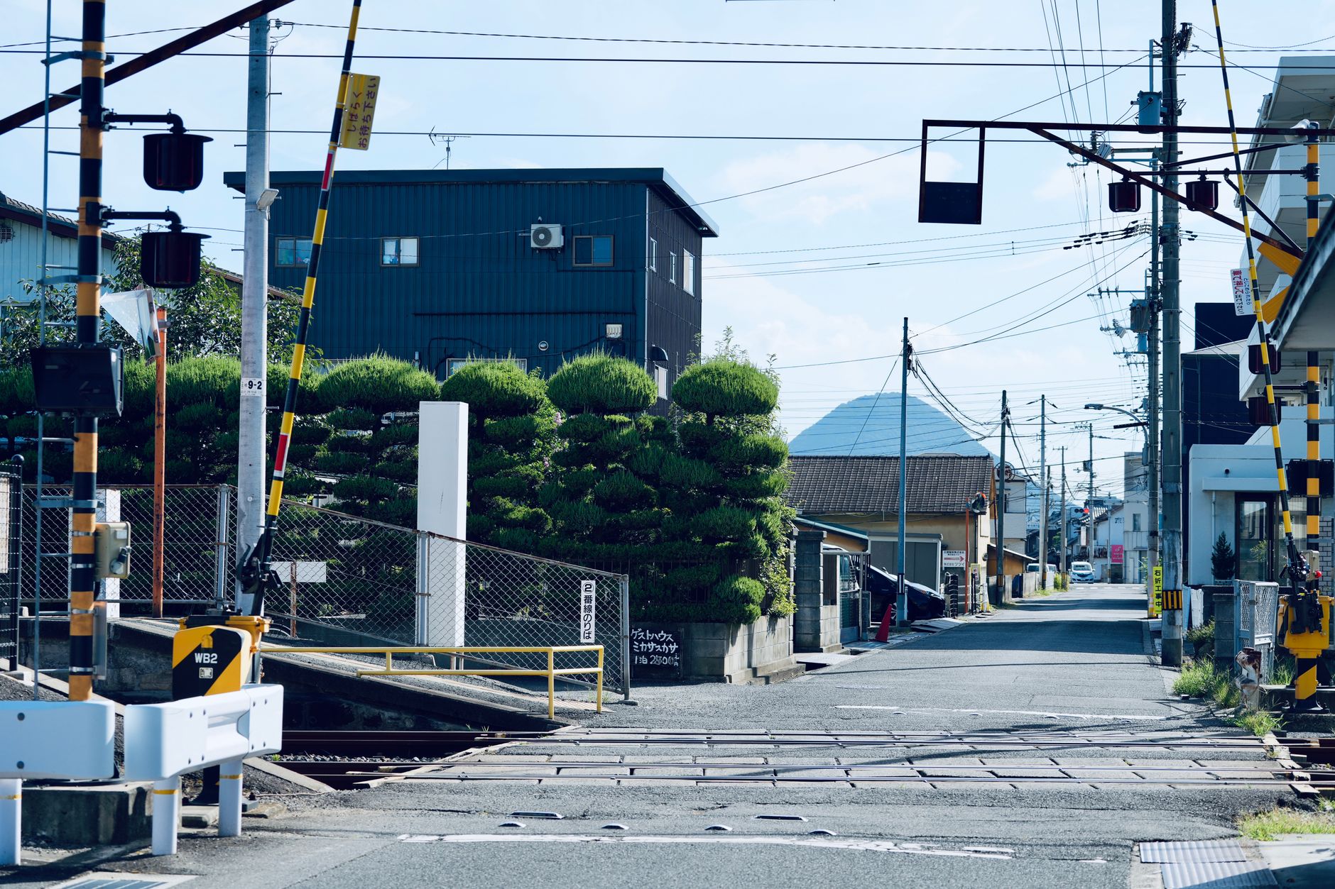 好きになった理由を誰も思い出せない、それこそが好きの正体かもしれない